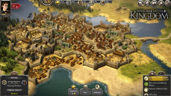 Скриншот из Total War Battles: KINGDOM