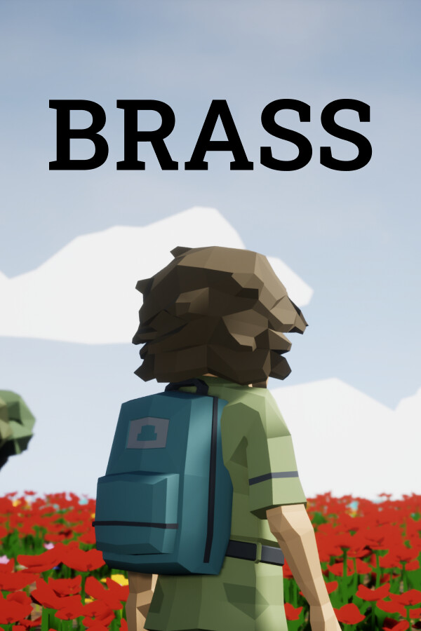 Brass for steam
