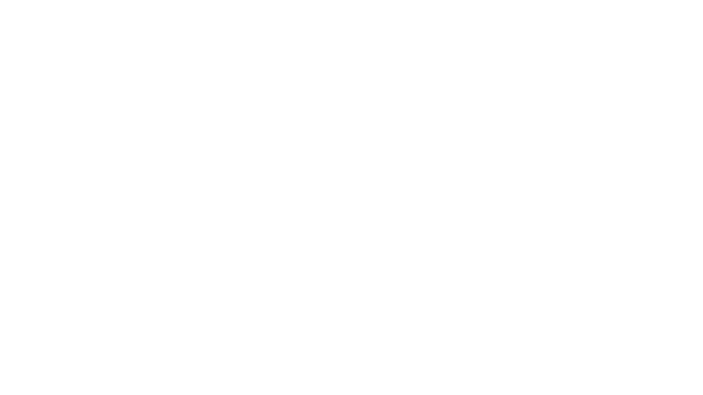 Survivor Company Logo