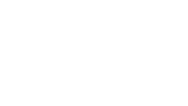 Flight Risk Logo