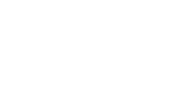Silent Breach Logo