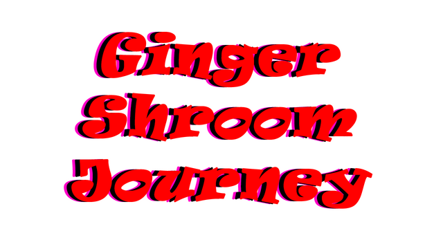 Ginger Shroom Journey Logo