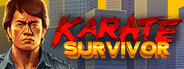 Karate Survivor System Requirements