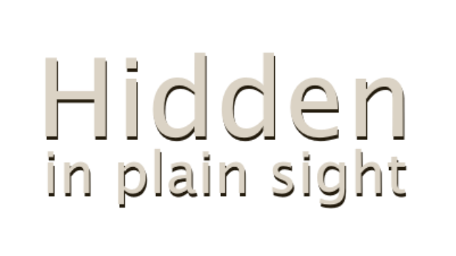 Hidden in Plain Sight- Backlog.rip