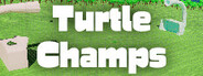 Turtle Champs System Requirements