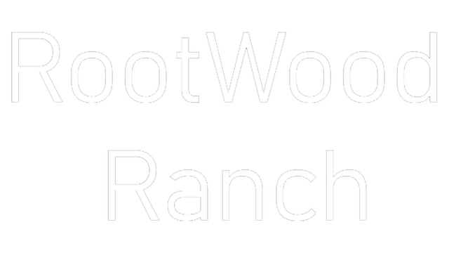 C.A.S.H. - Commerce And Stealthy Heists Logo