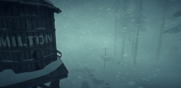 The Long Dark game for windows Pc 1