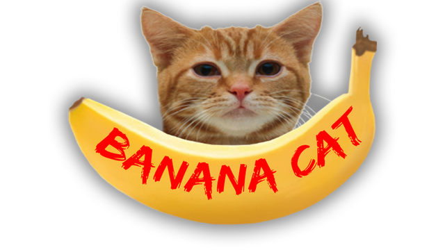 Banana Cat Logo
