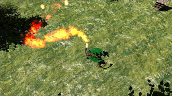 Скриншот из Dragon: The Game