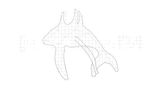 Whalefall Haven Logo