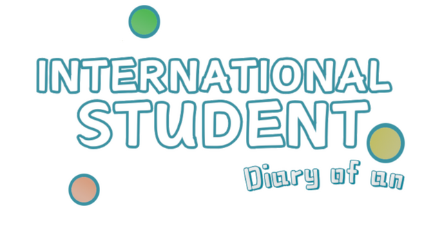 Diary of an International Student Logo