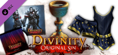 Divinity Original Sin - Source Hunter DLC pack cover art