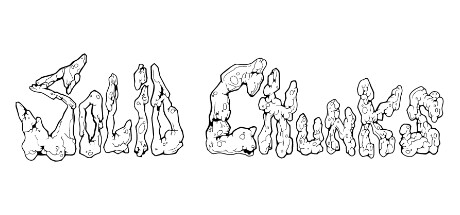 Solid Chunks PC Specs