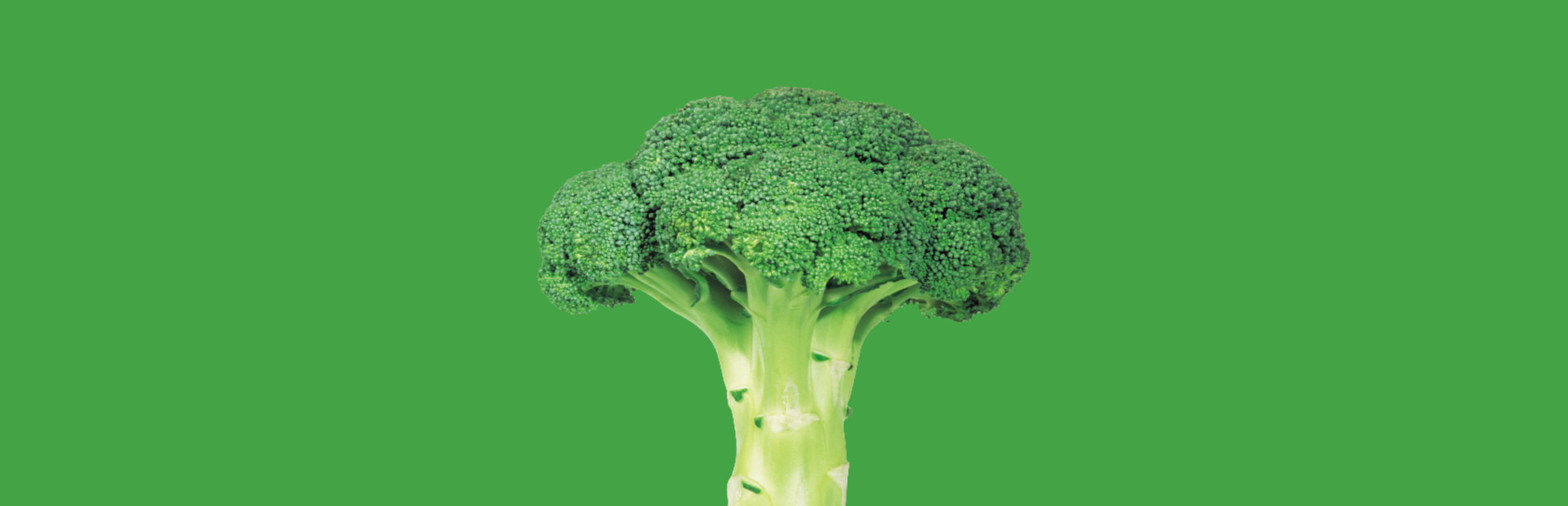 Broccoli