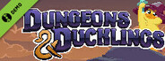 Dungeons and Ducklings Demo