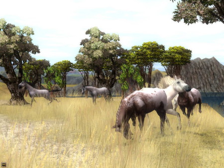 Скриншот из Wildlife Park 2 - Horses