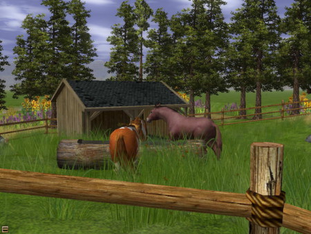 Скриншот из Wildlife Park 2 - Horses