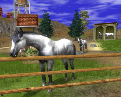 Скриншот из Wildlife Park 2 - Horses