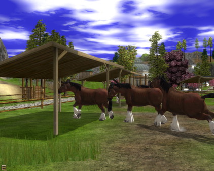 Скриншот из Wildlife Park 2 - Horses