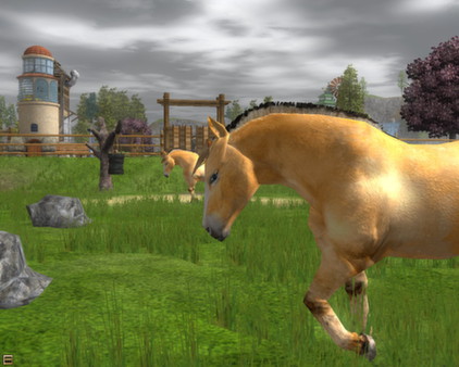 Скриншот из Wildlife Park 2 - Horses