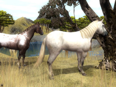 Скриншот из Wildlife Park 2 - Horses