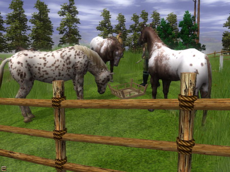 Скриншот из Wildlife Park 2 - Horses