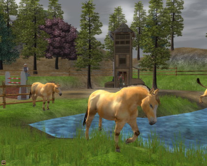 Скриншот из Wildlife Park 2 - Horses