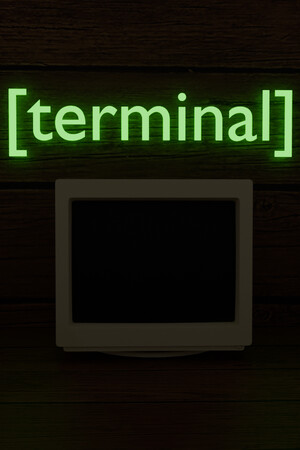 Terminal