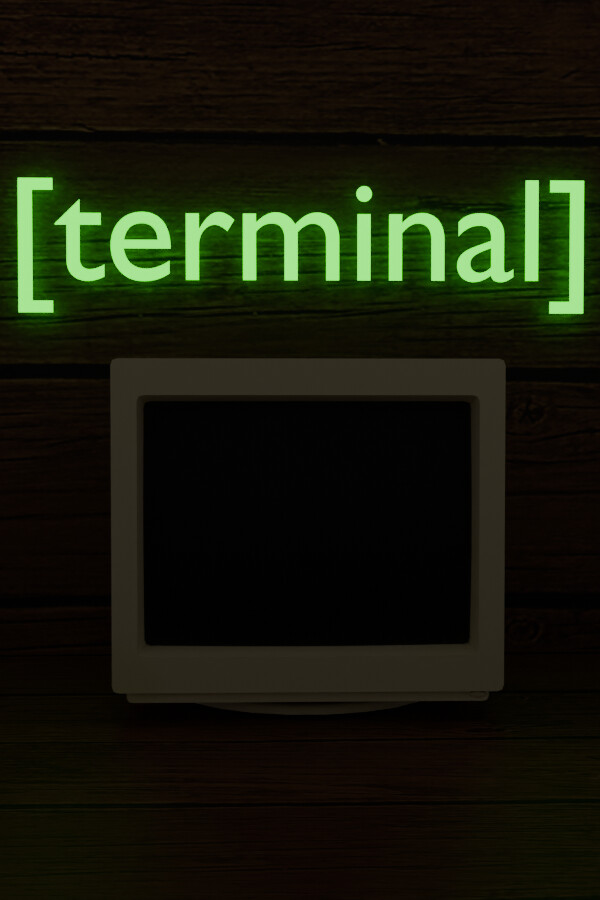 Terminal for steam