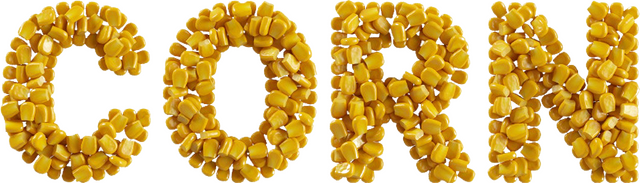 CORN Logo