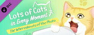 Lots of Cats in Every Moment: The Whereabouts of the Photo