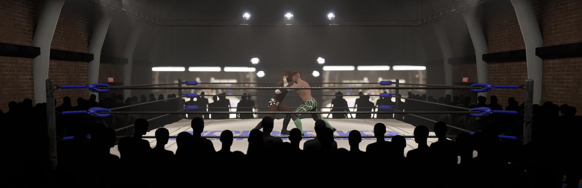 Neckbreaker: Visceral Pro Wrestling