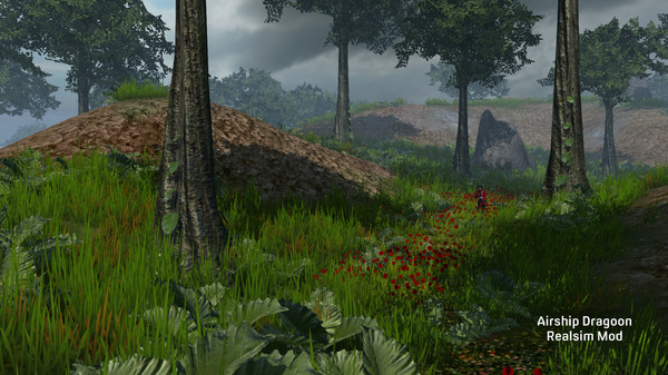 Airship Dragoon for linux