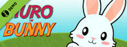 Auro The Bunny Demo