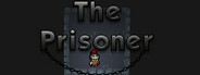 The Prisoner System Requirements