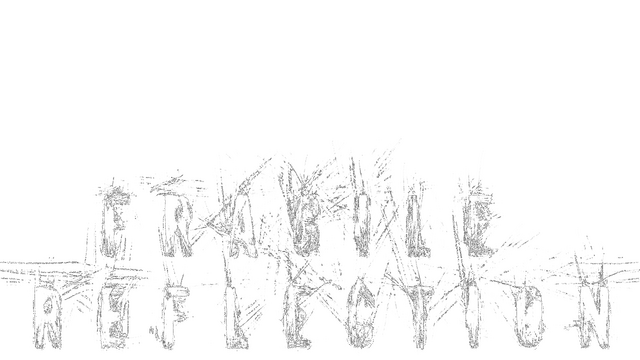 Fragile Reflection Logo