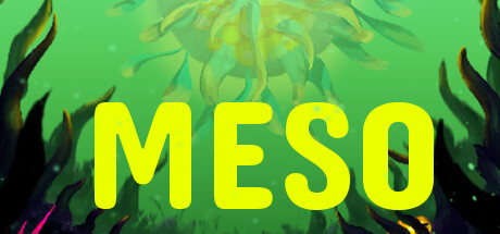 MESO cover art