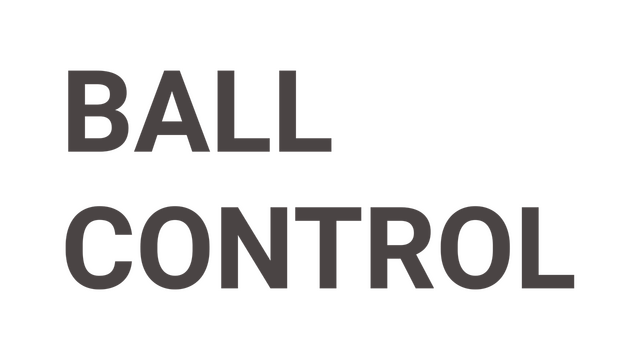 Ball Control Logo