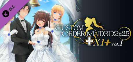 CUSTOM ORDER MAID 3D2&2.5+ X1+Vol.01 cover art