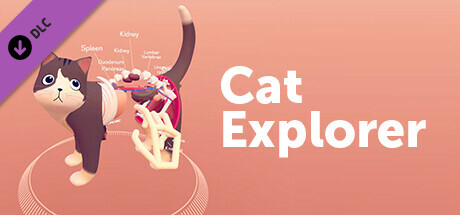 Cat Explorer cover art