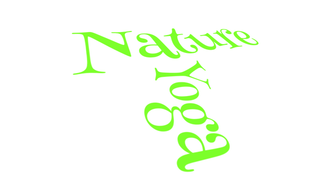 Nature Yoga Logo