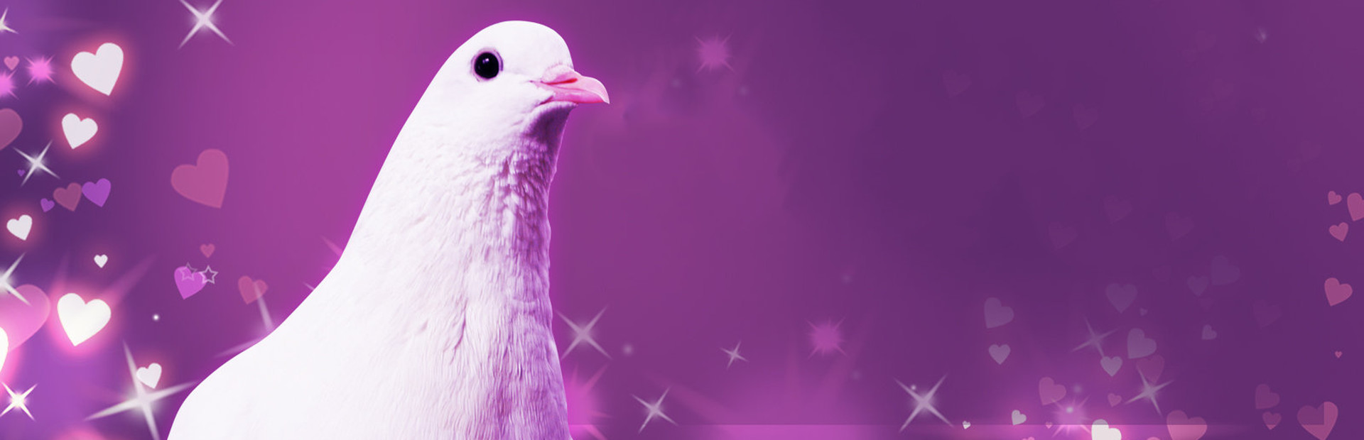 Hatoful Boyfriend Hero Image