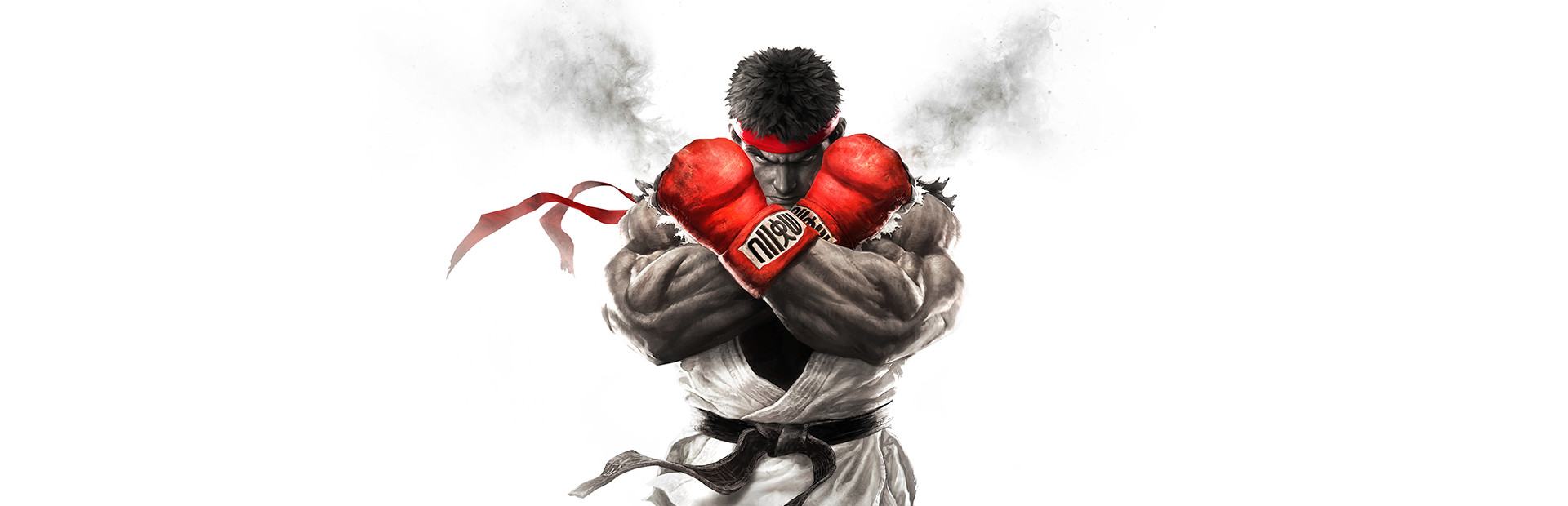 Street Fighter V Hero Image