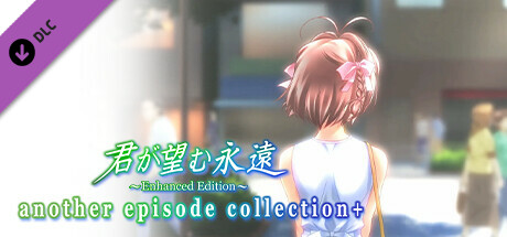 Kimi ga Nozomu Eien Enhanced Edition Another Episode Collection+ cover art