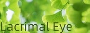 Lacrimal Eye System Requirements