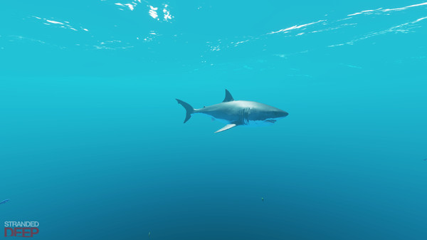 Stranded Deep System Requirements