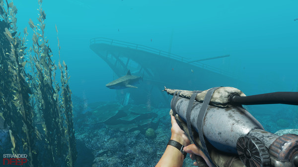 Stranded Deep recommended requirements