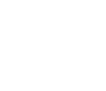 DarkSwitch Logo