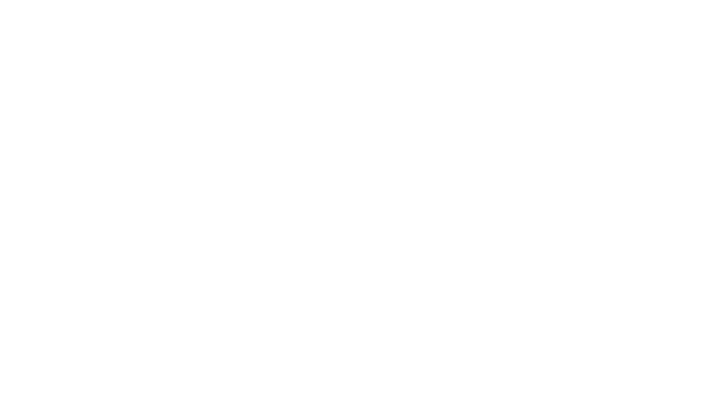 Profiteer Logo