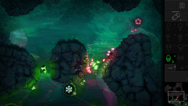 Boidfor windows and Linux 1